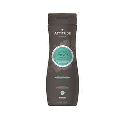 Attitude - Přírodní pánský šampón & tělové mýdlo 2 v 1 s detoxikačním účinkem - proti lupům, 473 ml