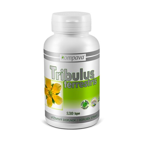 Tribulus Terrestris 400 mg/120 kps