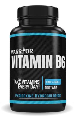 Vitamin B6 tablety 100 tab